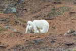 240814a_Hansoya_54_D