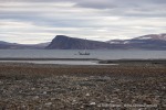 240814b_Franklindalen_173_D