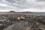 240815b_Sabineoyane_076_D