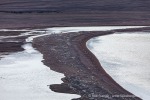 240815c_Planciusbukta_074_D