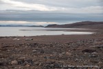 240815f_Haudegen_39_D