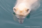 240819a_Halvmaneoya_182_D