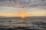 240820b_Sorkapp_01_D