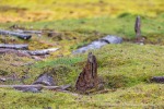 240821d_Tomtodden_06_D