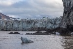 240822c_Scheelebreen_140_D