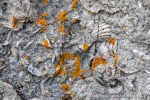 240827a_Bjonahamna_52_D