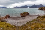 240829a_Midtholmen_03_D