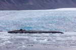 240829b_Kongsfjord_01_D