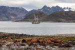 240830a_Virgohamna_44_D