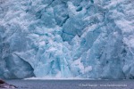 240830c_Fuglefjord_36_D