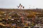 240831b_Buchananhalvoya_32_D