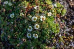 240901a_Andoyane_052_D