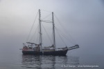 240903c_Halvmaaneoya_89_D
