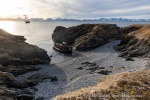 240911b_Hermansenoya_006_D