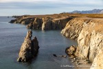 240911b_Hermansenoya_074_D
