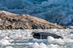 240913b_Fjerdebreen_156_D