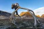 240913e_Kobbefjord_064_D