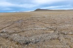 240916b_Zeipelodden_10_D