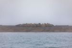 240917a_Wahlbergoya_01_D