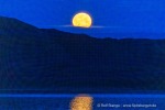 240917b_Murchisonfjord_06_D
