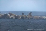 240918b_Moffen_22_D