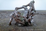 240918b_Moffen_42_D
