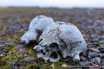 240918b_Moffen_71_D