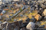 240919a_Sallyhamna_09_D