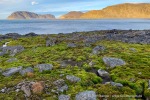240919b_Birgerbukta_08_D
