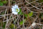240921b_Alkhornet_109_D