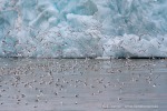 a8_Monacobreen_07Jul06_31_D