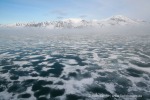 b9_Monacobreen-20June07_04_D