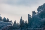 f2o_Monacobreen_29Juni13_101_D