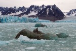 d1_Monacobreen_15Sept12_094_D