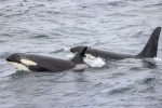 241106_Kvaenangen_31_D