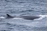 241106_Kvaenangen_48_D