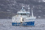 241106_Kvaenangen_58_D