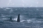241107b_Kvaenangen_31_D
