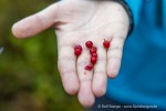 241109a_Skjervoy_02_D