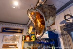 241109b_Hamnes_08_D