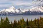 241110_Hamnes_17_D
