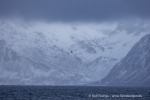 241106_Kvaenangen_08_D