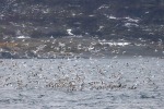 241106_Kvaenangen_64_D