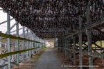 241110_Hamnes_12_D
