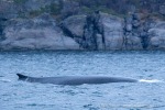 241116b_Kvaenangen_03_D