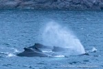 241116b_Kvaenangen_16_D