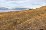 200721b_Deltaneset_410_D