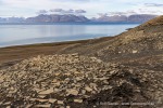 200721b_Deltaneset_461_D
