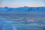 190310b_Hiorthhamn_02_D