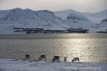 220322b_Hiorthhamn_27_D